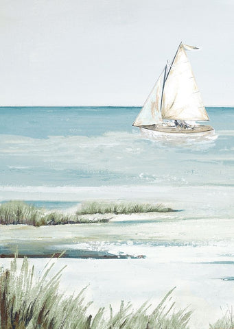 Beautiful Day For A Sail Black Ornate Wood Framed Art Print with Double Matting by Pinto, Patricia