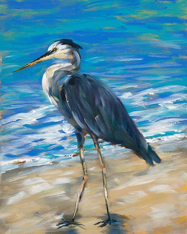 Beach Bird II White Modern Wood Framed Art Print with Double Matting by DeRice, Julie