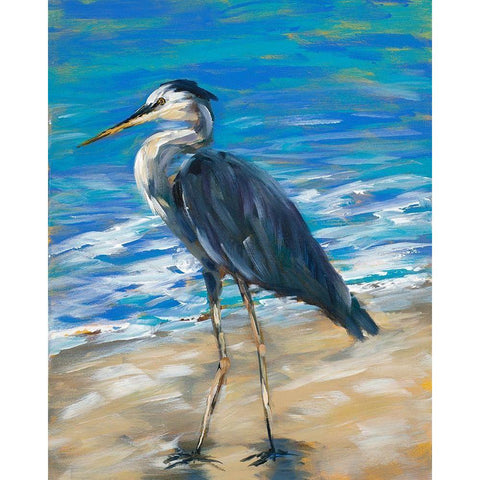 Beach Bird II Gold Ornate Wood Framed Art Print with Double Matting by DeRice, Julie