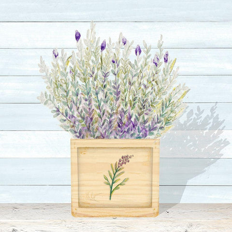 Lavender and Wood Square III White Modern Wood Framed Art Print with Double Matting by Gaynor, Janice