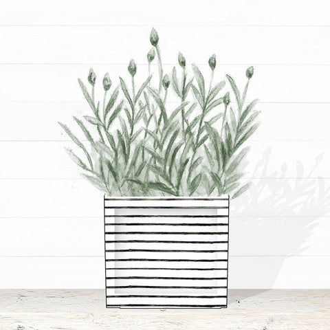 Lavender In Modern Pot III White Modern Wood Framed Art Print with Double Matting by Gaynor, Janice