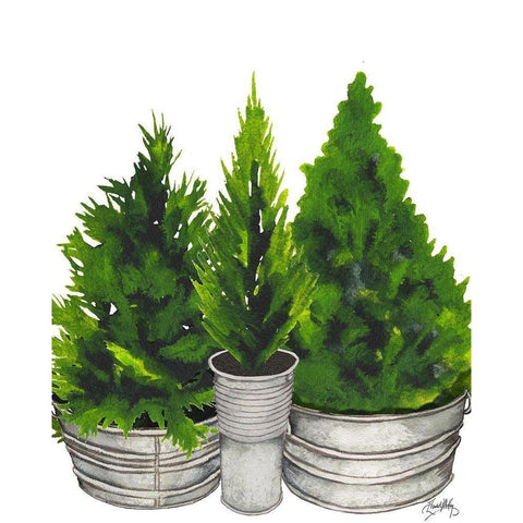 Evergreens in Galvanized Tins White Modern Wood Framed Art Print by Medley, Elizabeth