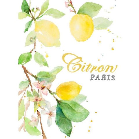 Spring Citron In Paris Gold Ornate Wood Framed Art Print with Double Matting by Loreth, Lanie