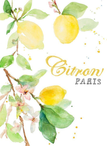 Spring Citron In Paris White Modern Wood Framed Art Print with Double Matting by Loreth, Lanie