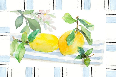 Spring Citron White Modern Wood Framed Art Print with Double Matting by Loreth, Lanie