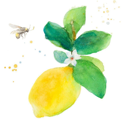 Bee-Friend The Lemon I White Modern Wood Framed Art Print by Loreth, Lanie