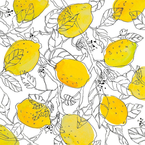 Lemons With Outlined Leaves White Modern Wood Framed Art Print by Loreth, Lanie