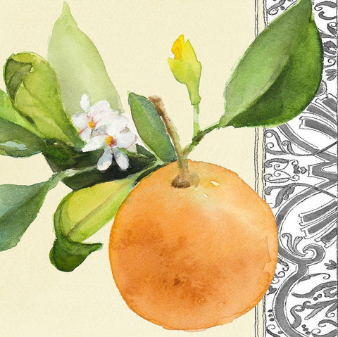 Orange Blossoms II White Modern Wood Framed Art Print with Double Matting by Loreth, Lanie