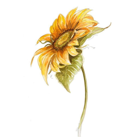 Harvest Gold Sunflower I White Modern Wood Framed Art Print by Pinto, Patricia