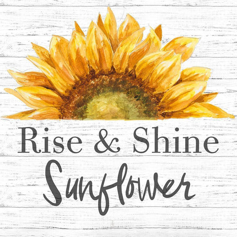 Rise and Shine Sunflower Black Ornate Wood Framed Art Print with Double Matting by Pinto, Patricia