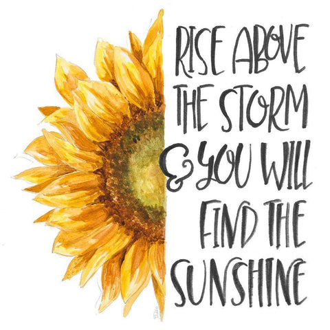 Harvest Sunflower Inspiration Black Modern Wood Framed Art Print with Double Matting by Pinto, Patricia