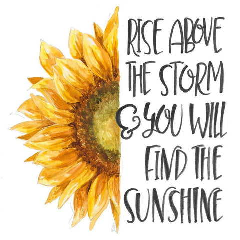 Harvest Sunflower Inspiration White Modern Wood Framed Art Print with Double Matting by Pinto, Patricia