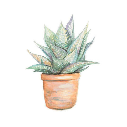 Potted Cactus White Modern Wood Framed Art Print by Pinto, Patricia