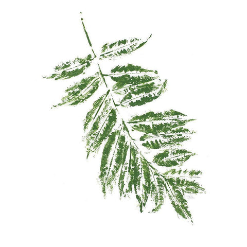 Tropical Leaf Stamp Branch White Modern Wood Framed Art Print by Pinto, Patricia