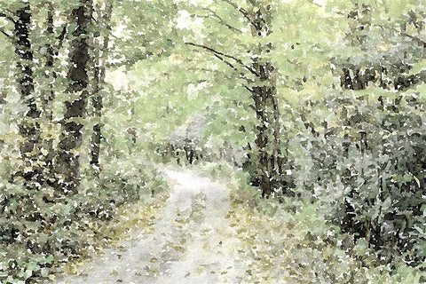 Dappled Path White Modern Wood Framed Art Print with Double Matting by Mansfield, Kathy