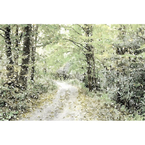 Dappled Path Gold Ornate Wood Framed Art Print with Double Matting by Mansfield, Kathy