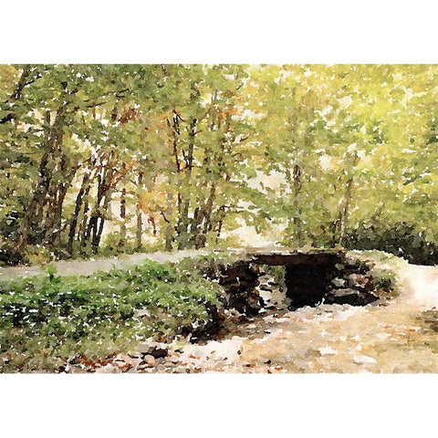 Dappled Stream Black Modern Wood Framed Art Print with Double Matting by Mansfield, Kathy