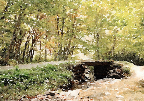 Dappled Stream Black Ornate Wood Framed Art Print with Double Matting by Mansfield, Kathy