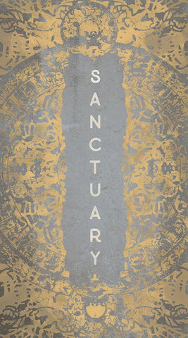 Sanctuary Black Ornate Wood Framed Art Print with Double Matting by Meneely, Dan