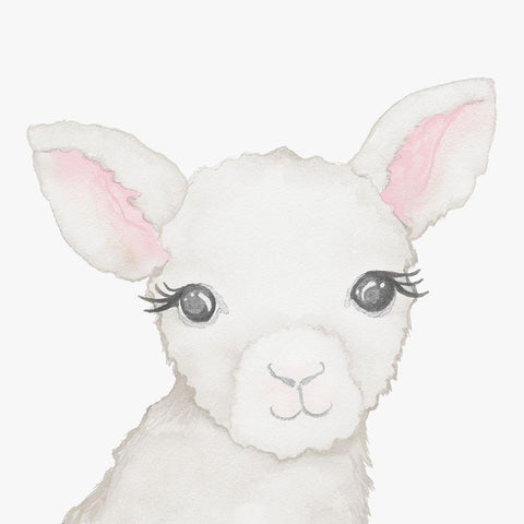 Baby Lamb White Modern Wood Framed Art Print with Double Matting by Medley, Elizabeth