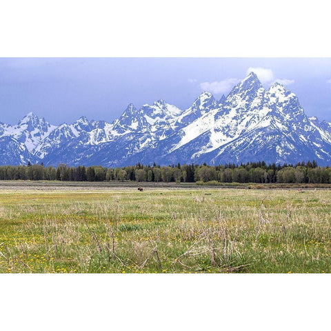 Foothills Black Modern Wood Framed Art Print with Double Matting by Mansfield, Kathy