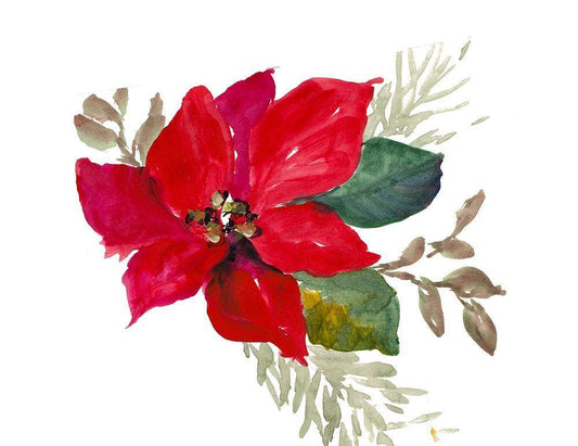 Image Only