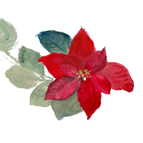 Bright Poinsettia II White Modern Wood Framed Art Print by Loreth, Lanie