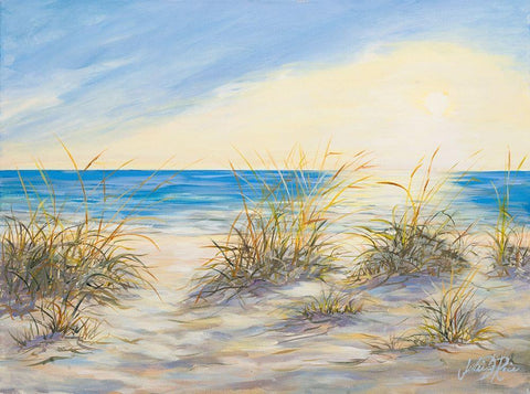 Coastal Sunrise White Modern Wood Framed Art Print with Double Matting by DeRice, Julie