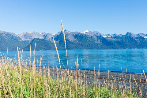 Alaskan Shorelines White Modern Wood Framed Art Print with Double Matting by Wilson, Kali