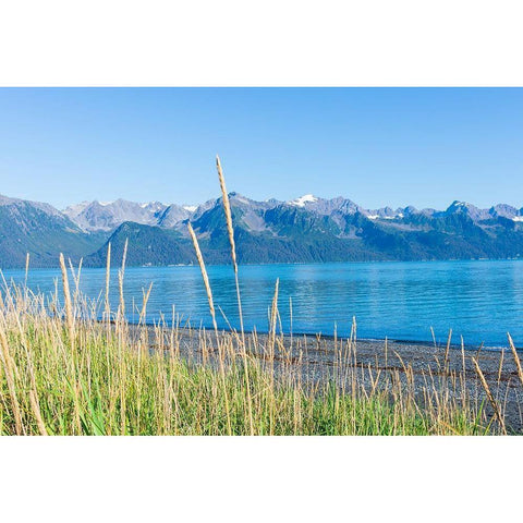 Alaskan Shorelines Black Modern Wood Framed Art Print by Wilson, Kali