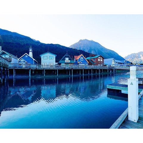Alaskan Fish Town Black Modern Wood Framed Art Print by Wilson, Kali