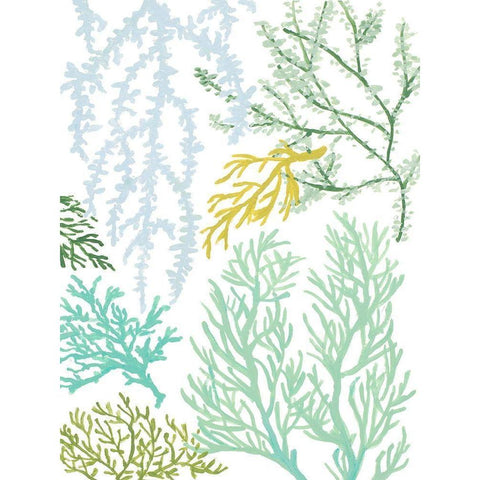 Budding Vertical Coral I Black Modern Wood Framed Art Print with Double Matting by Loreth, Lanie