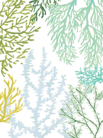 Budding Vertical Coral II White Modern Wood Framed Art Print with Double Matting by Loreth, Lanie