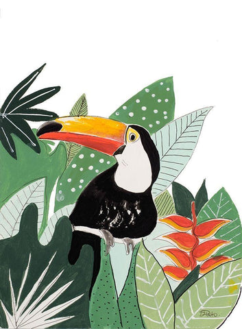 Peering Toucan White Modern Wood Framed Art Print with Double Matting by Pinto, Patricia