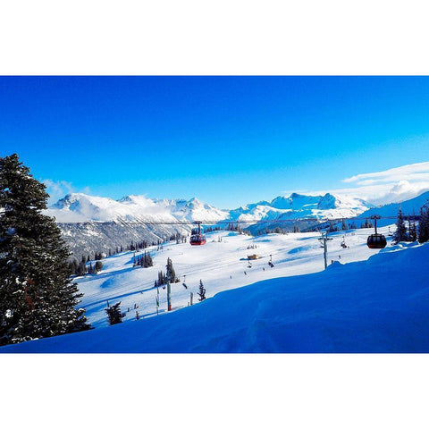 Ski Slope White Modern Wood Framed Art Print by Peck, Gail