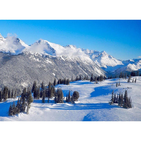 Snowy Mountaintop Gold Ornate Wood Framed Art Print with Double Matting by Peck, Gail