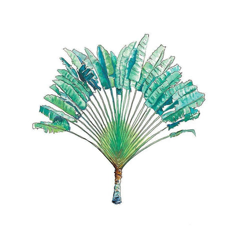 Travelers Palm White Modern Wood Framed Art Print by Pinto, Patricia