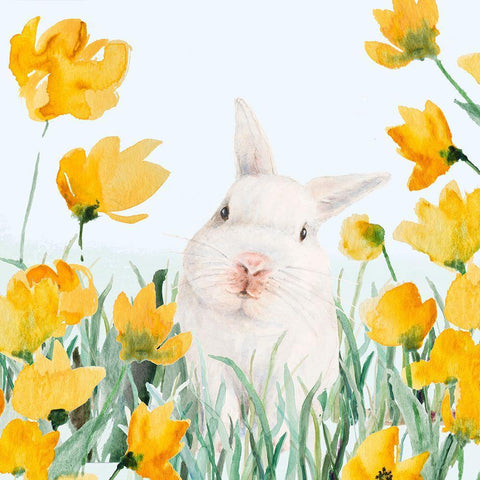 White Bunny Amongst Yellow Flowers White Modern Wood Framed Art Print with Double Matting by Loreth, Lanie