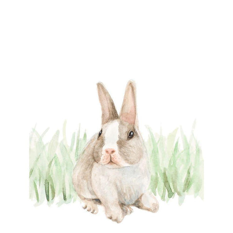 Bunny In The Grass White Modern Wood Framed Art Print by Loreth, Lanie