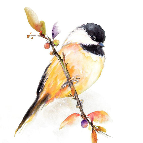 Watercolor Chickadee I White Modern Wood Framed Art Print by Diannart