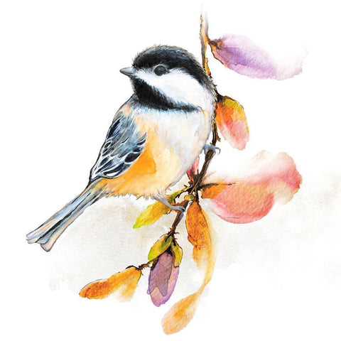 Watercolor Chickadee II White Modern Wood Framed Art Print by Diannart