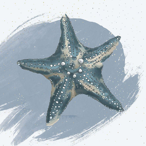 Starfish Black Modern Wood Framed Art Print with Double Matting by Sheppard, Lucca