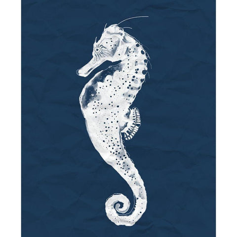 Seahorse On Navy Gold Ornate Wood Framed Art Print with Double Matting by Sheppard, Lucca