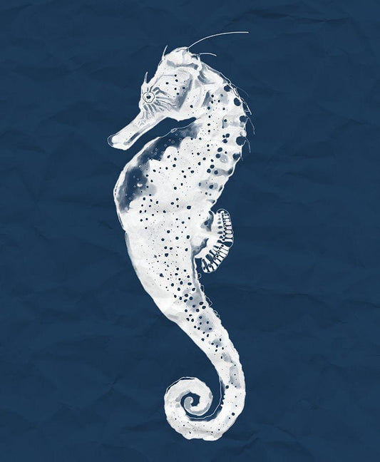 Image Only