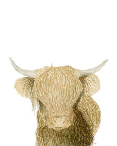Highland Cattle White Modern Wood Framed Art Print with Double Matting by Price, Lucille