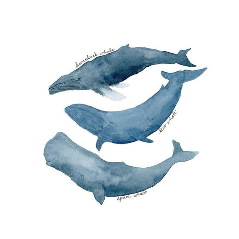 Whale Trio Gold Ornate Wood Framed Art Print with Double Matting by Price, Lucille