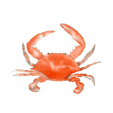 Crab White Modern Wood Framed Art Print by Price, Lucille