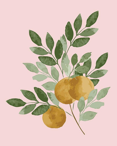 Oranges Black Ornate Wood Framed Art Print with Double Matting by Price, Lucille