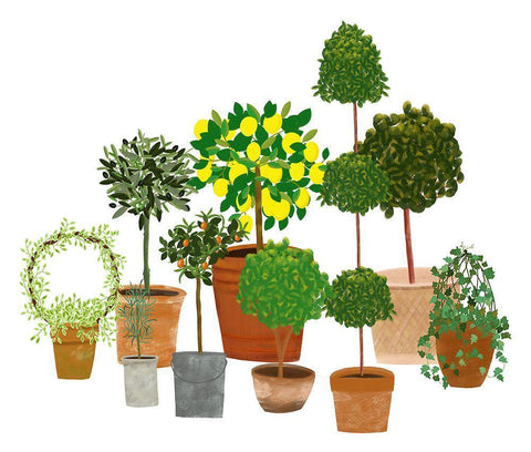 Topiaries White Modern Wood Framed Art Print with Double Matting by Bucheli, Jen