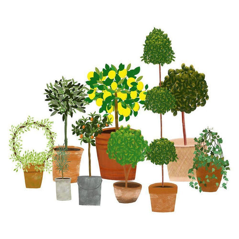 Topiaries White Modern Wood Framed Art Print by Bucheli, Jen